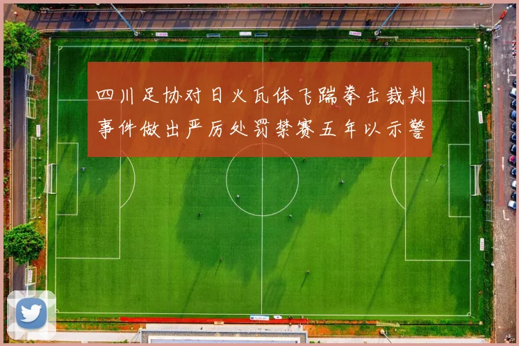 四川足协对日火瓦体飞踹拳击裁判事件做出严厉处罚禁赛五年以示警戒