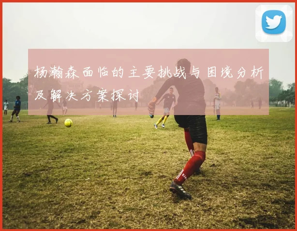杨瀚森面临的主要挑战与困境分析及解决方案探讨