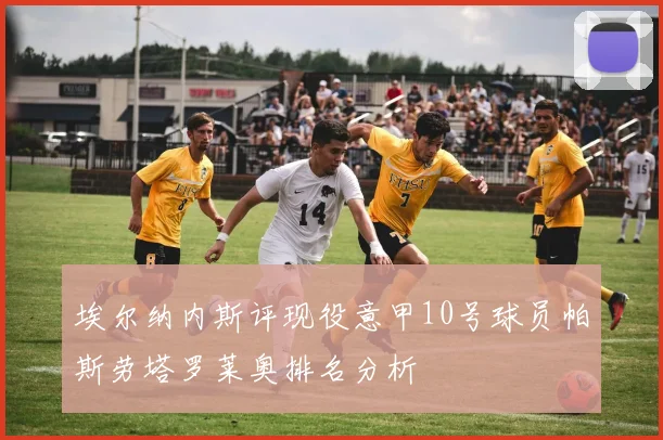 埃尔纳内斯评现役意甲10号球员帕斯劳塔罗莱奥排名分析
